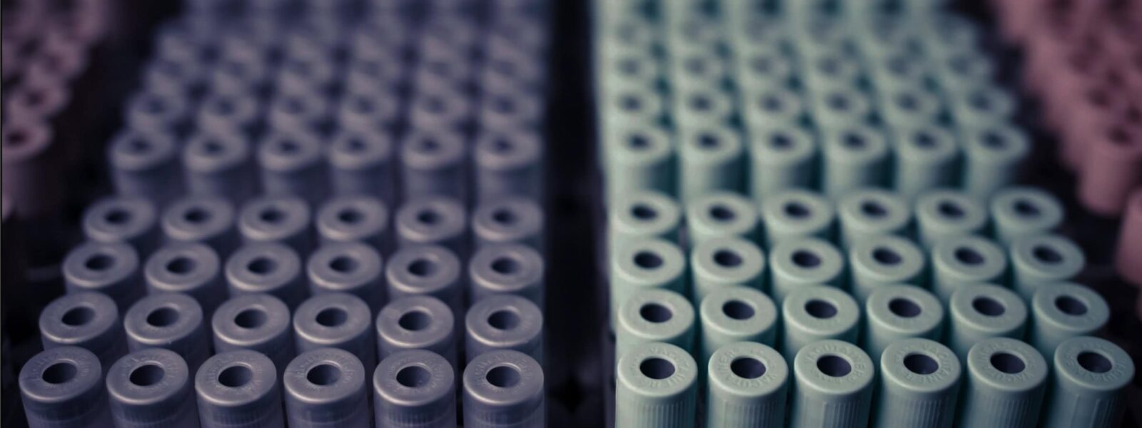 A close up of sample test tubes