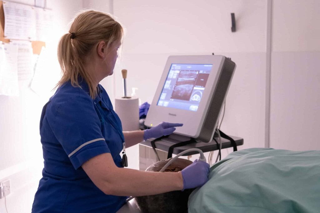 A nurse completes an ultrasound on a participant